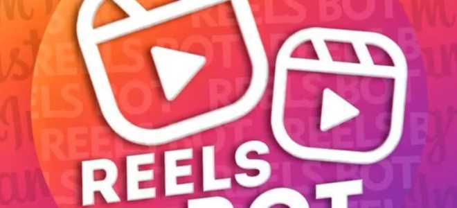 Reels Insta Bot: отзывы о боте