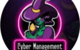 Cyber Management CS:GO – отзывы