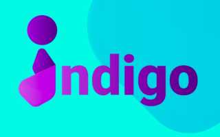 Телеграмм каппер Indigo Bot