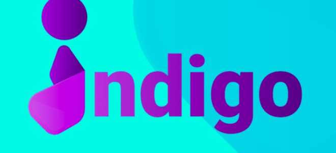Телеграмм каппер Indigo Bot