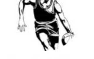 Телеграм Basket Plus: отзывы