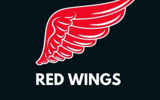 Каппер Red Wings телеграмм канал инсайдера