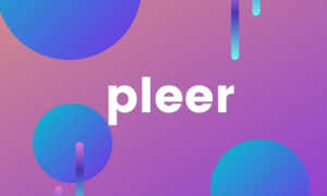 Телеграмм Pleer bot каппер